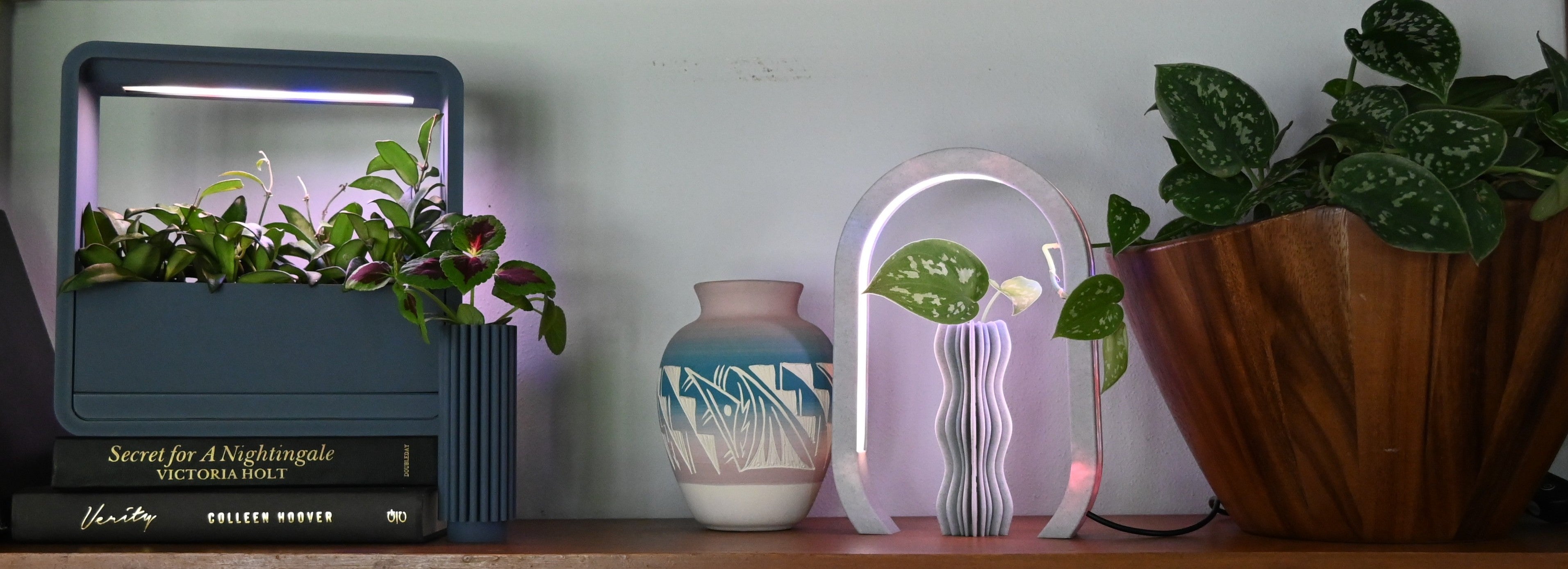 Propagation Vase Home Decor Modern Contemporary Clean Minimalist