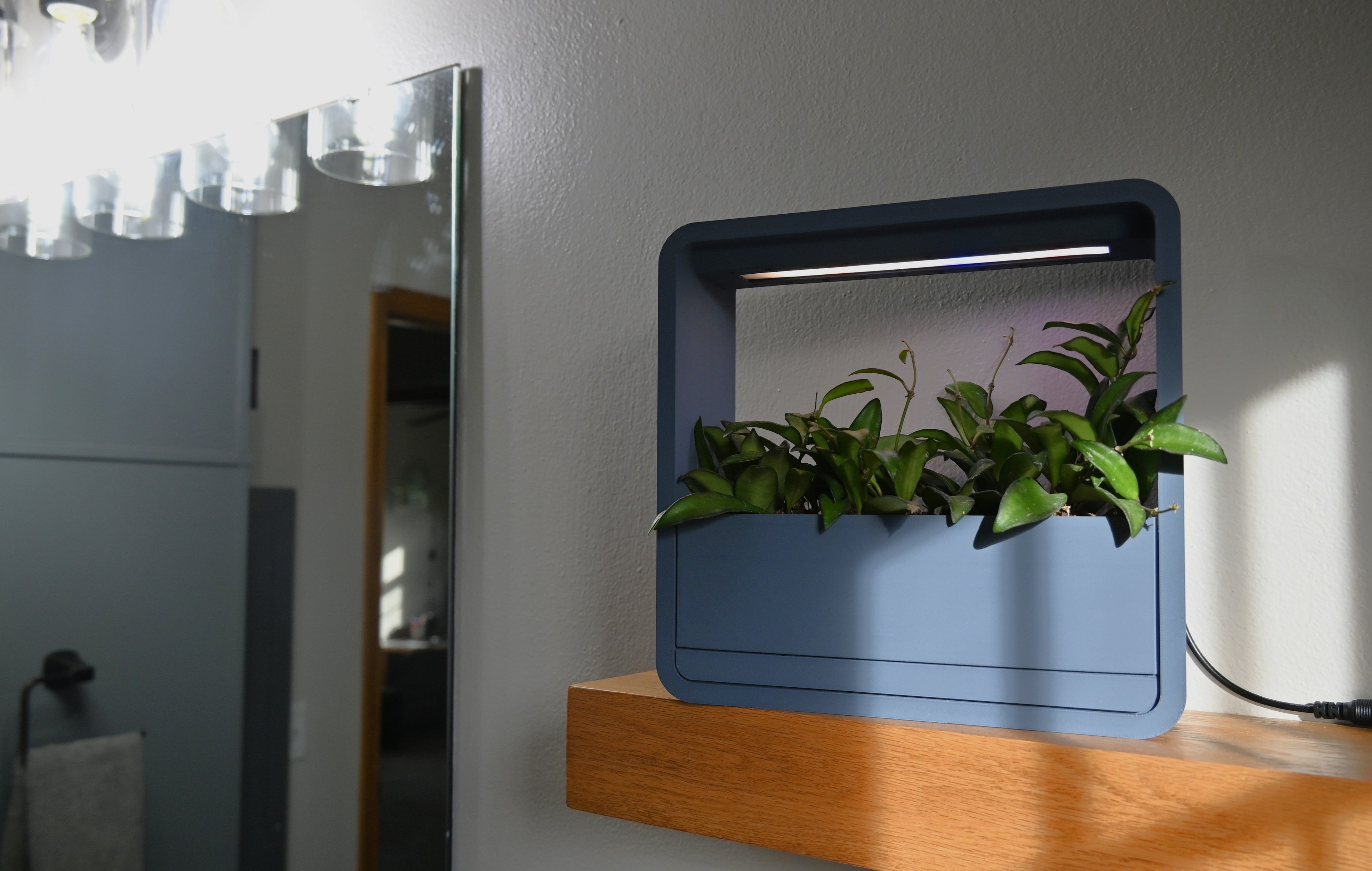 The Eden Planter