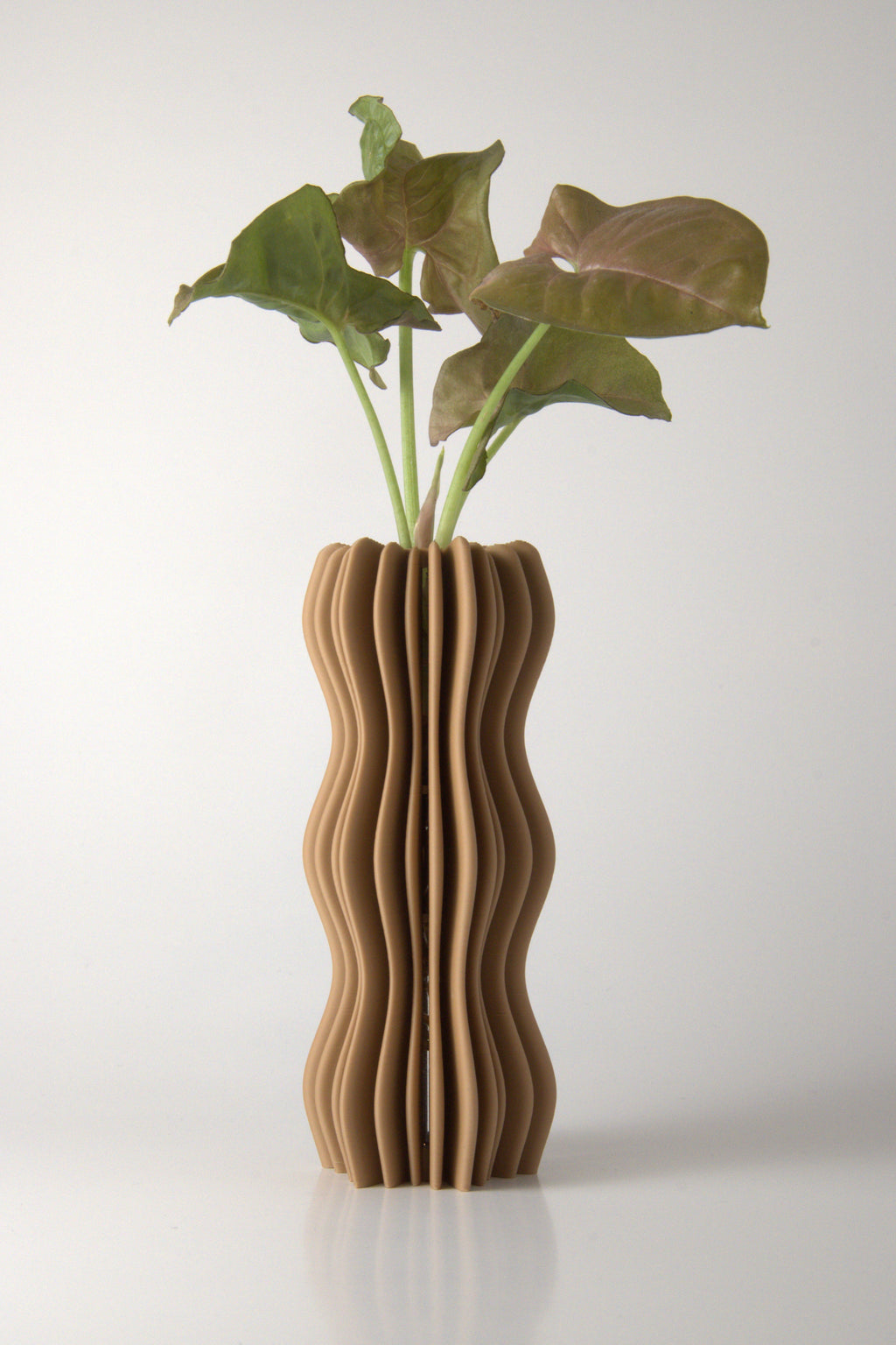 Propagation Vase Natural Oak