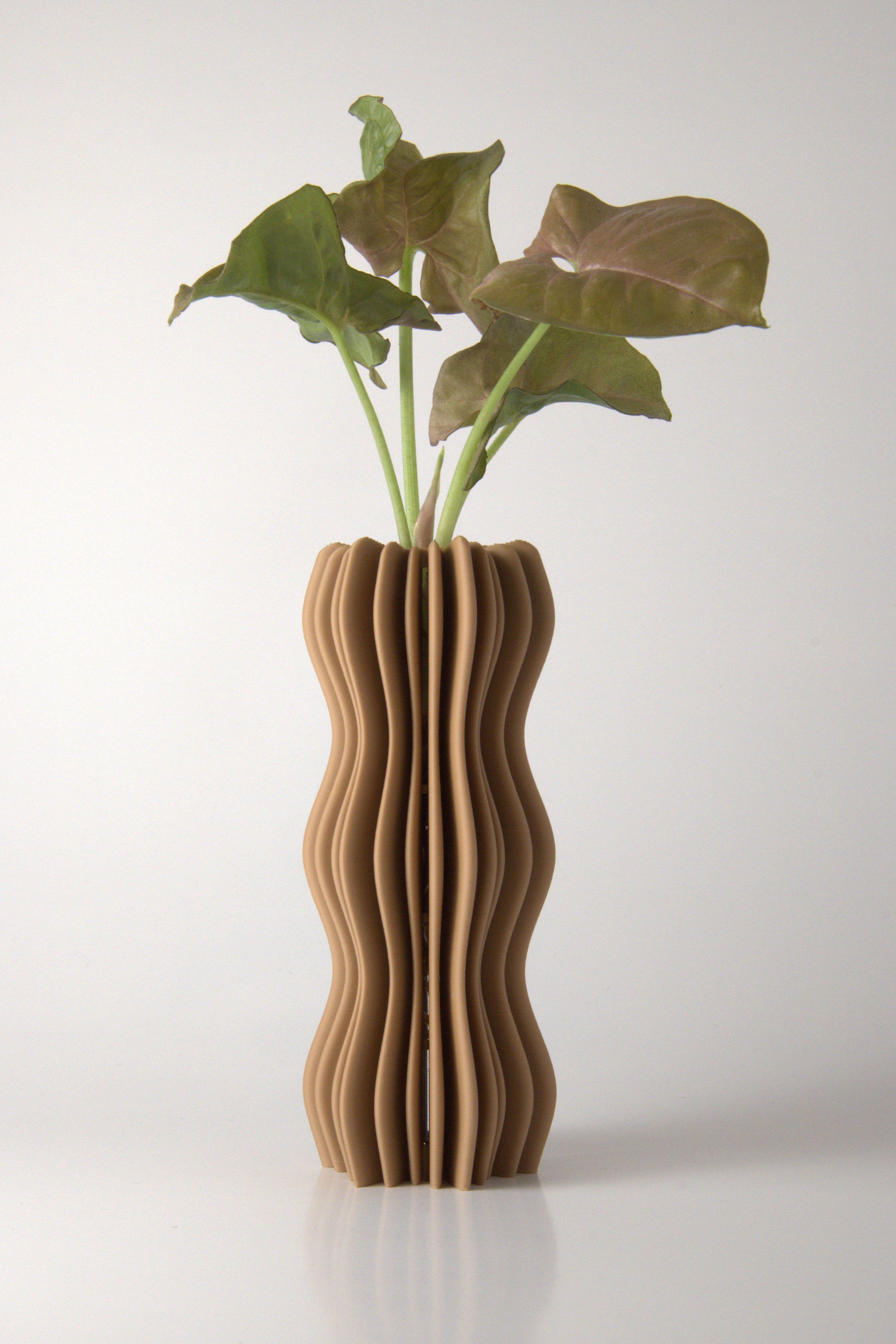 Propagation Vase Natural Oak