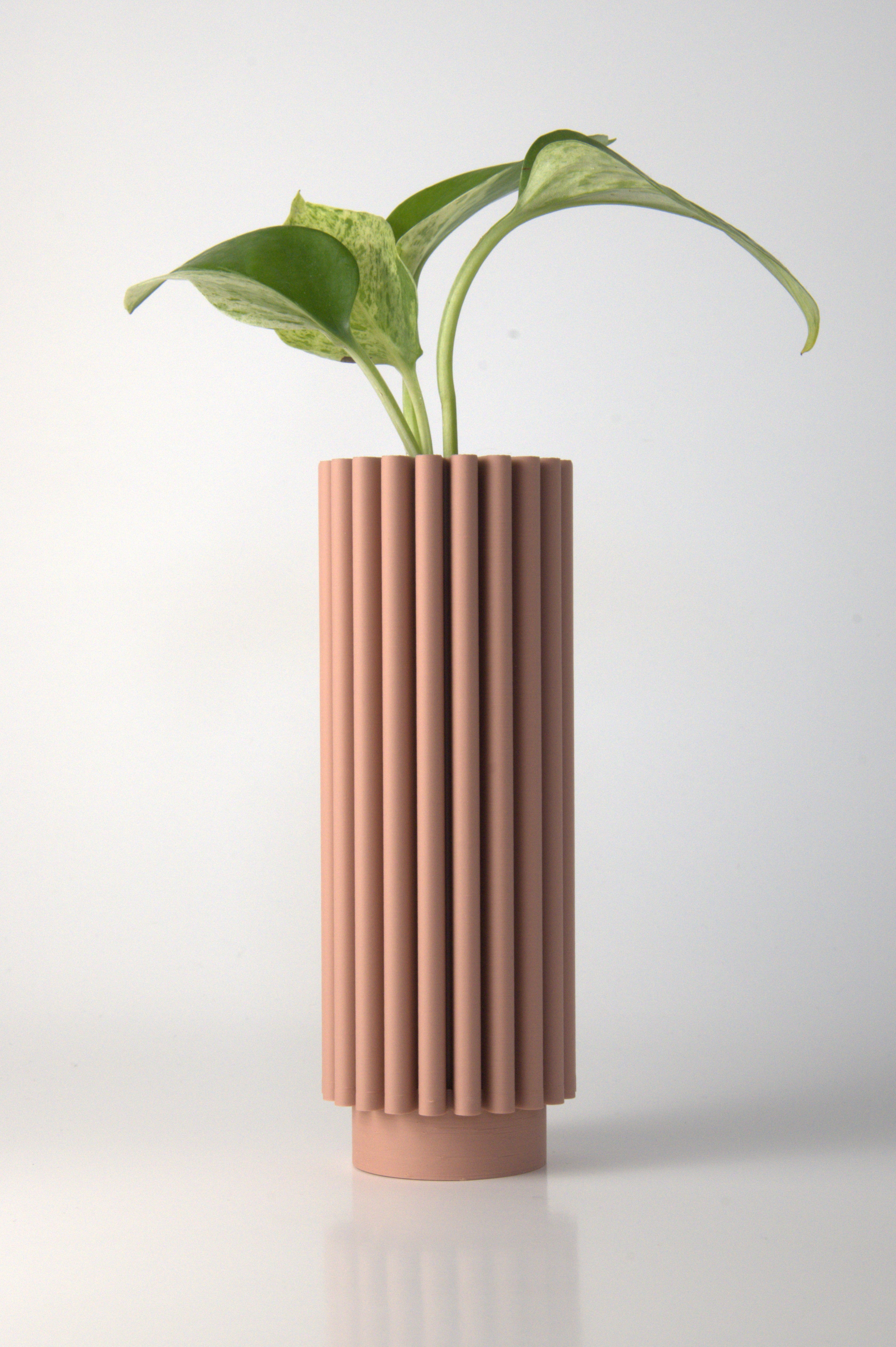 Propagation Vase Dusty Rose