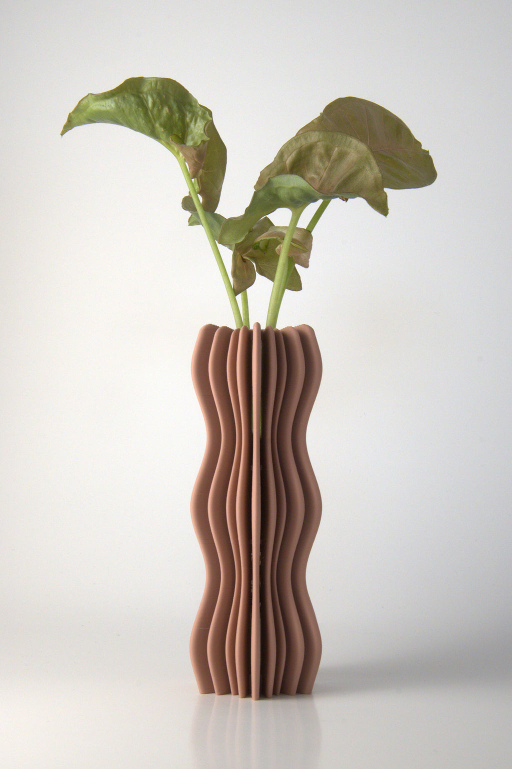 Propagation Vase Dusty Rose