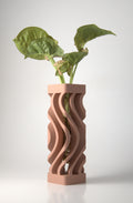 Propagation Vase Dusty Rose