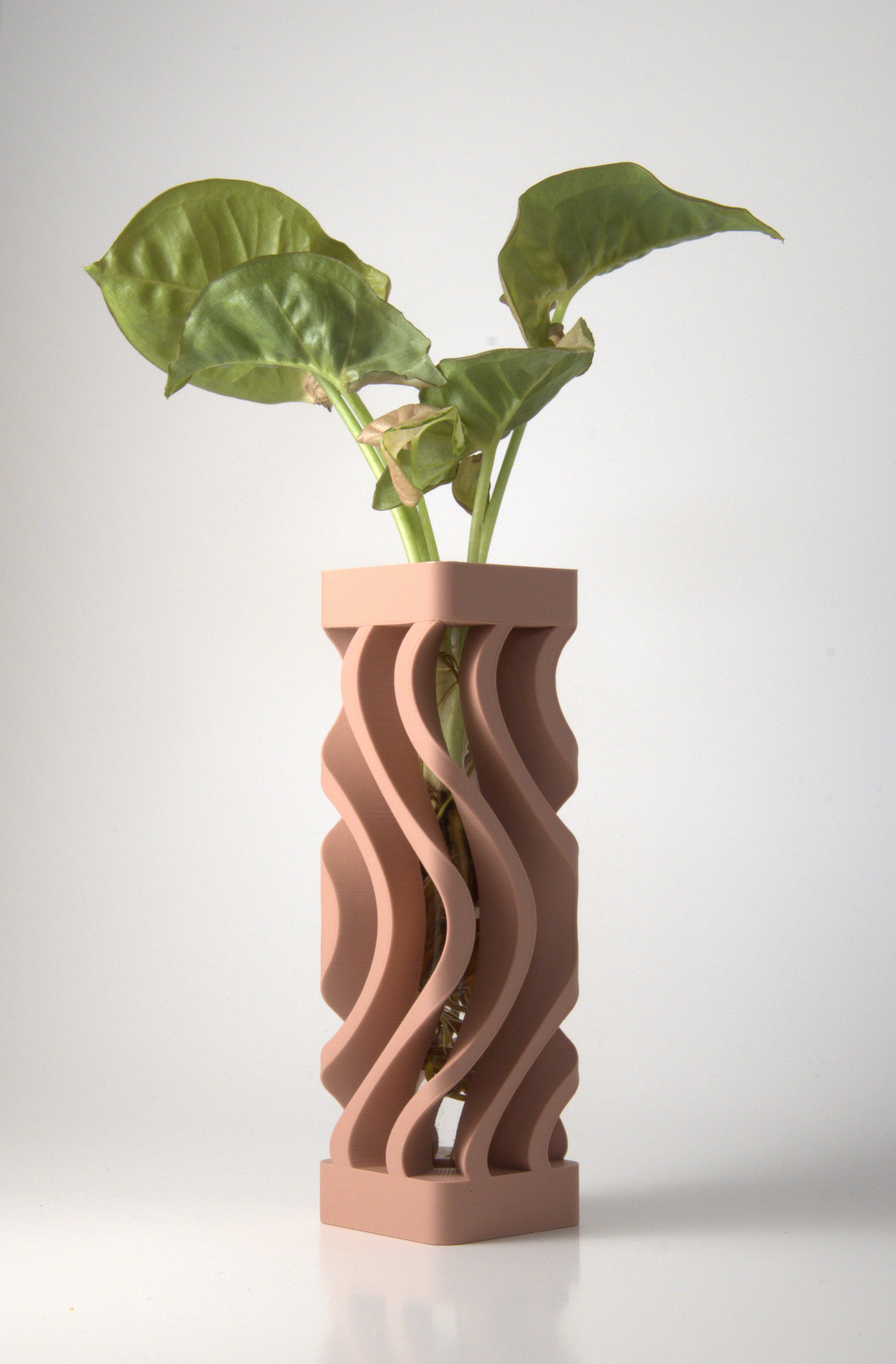 Propagation Vase Dusty Rose