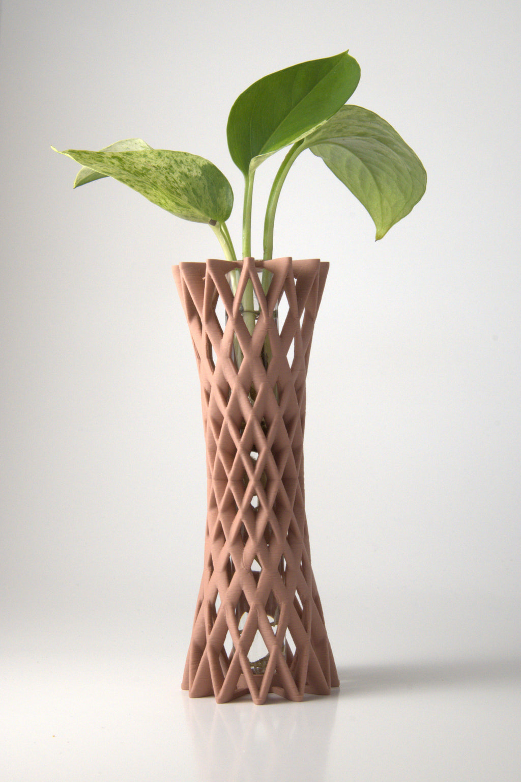 Propagation Vase Dusty Rose