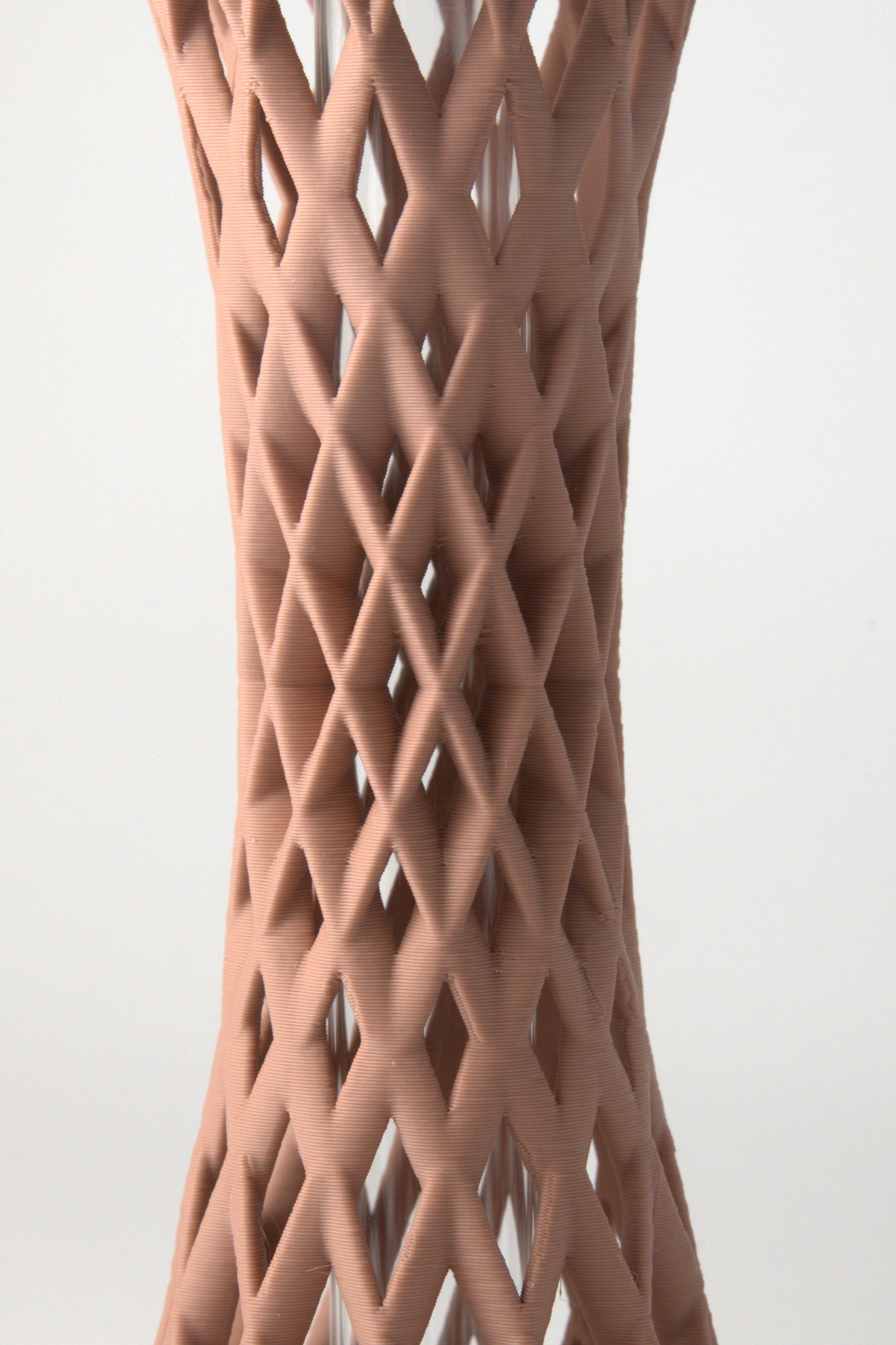 Propagation Vase Dusty Rose