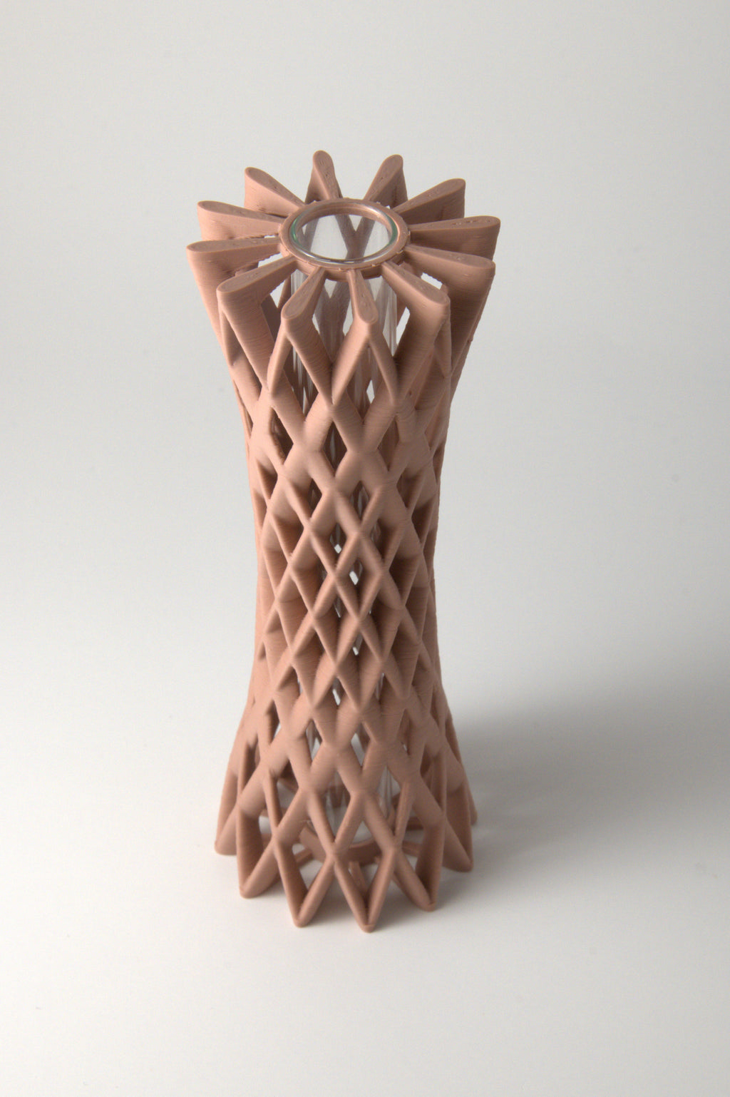 Propagation Vase Dusty Rose