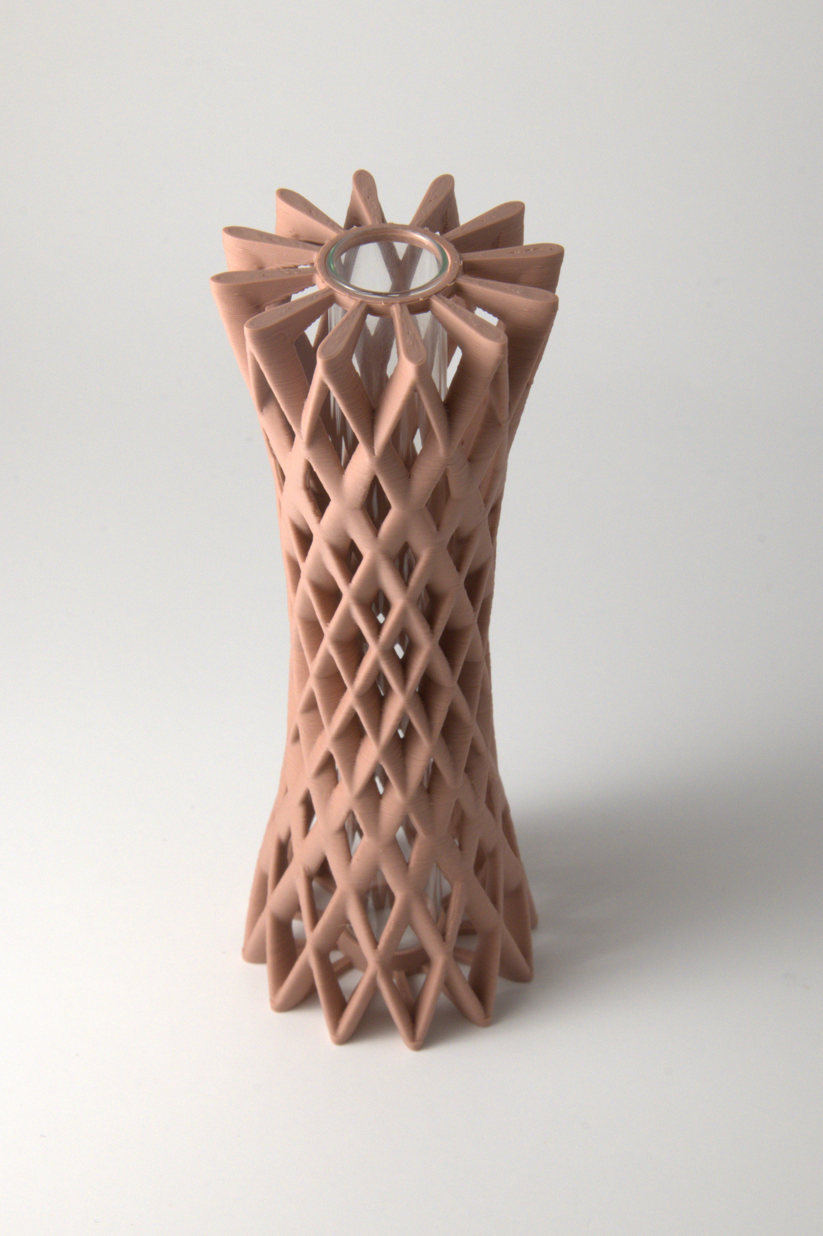 Propagation Vase Dusty Rose
