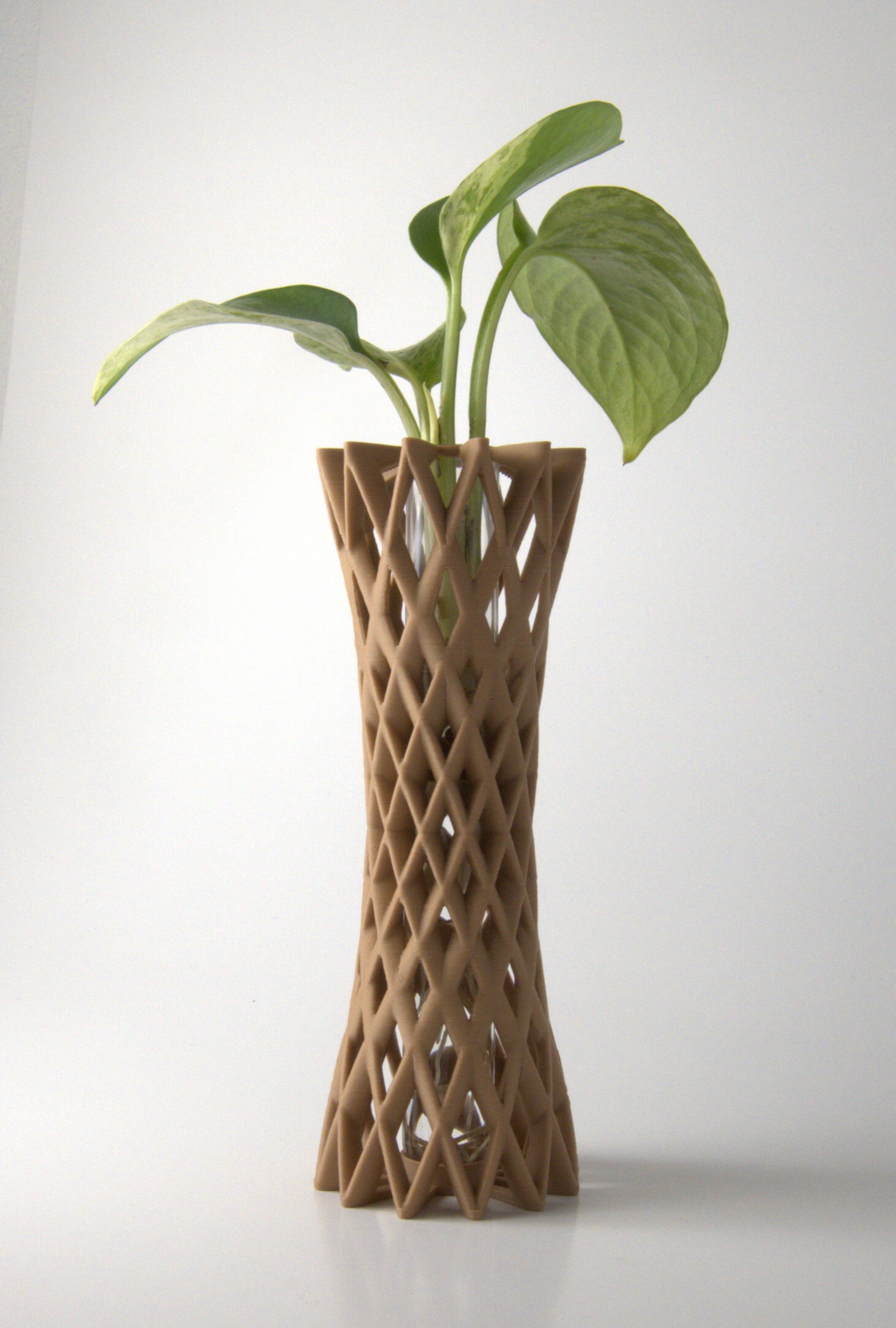 Propagation Vase Natural Oak