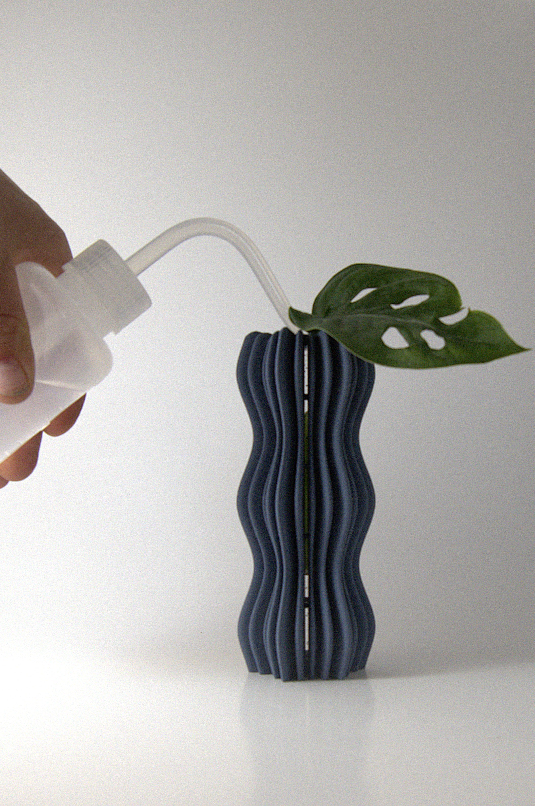Watering Squeeze Bottle