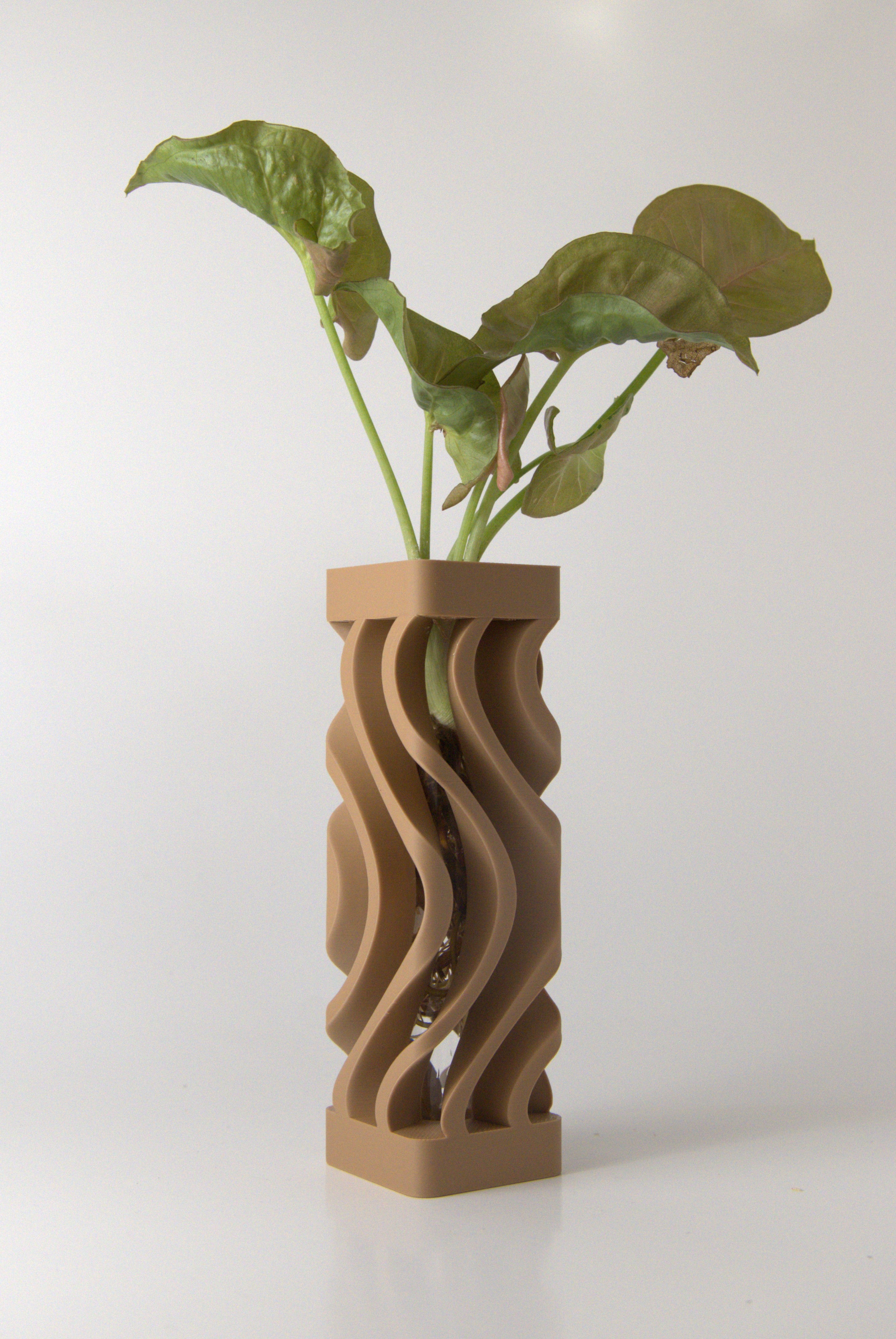 Propagation Vase Natural Oak