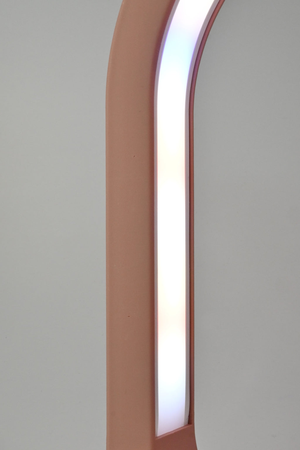 Dusty Rose Grow Light Sculpture Home Decor