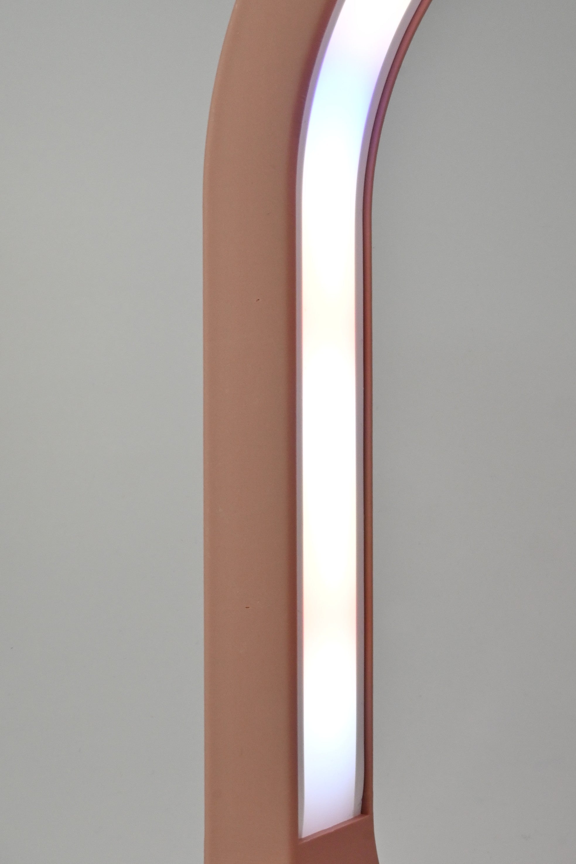 Dusty Rose Grow Light Sculpture Home Decor