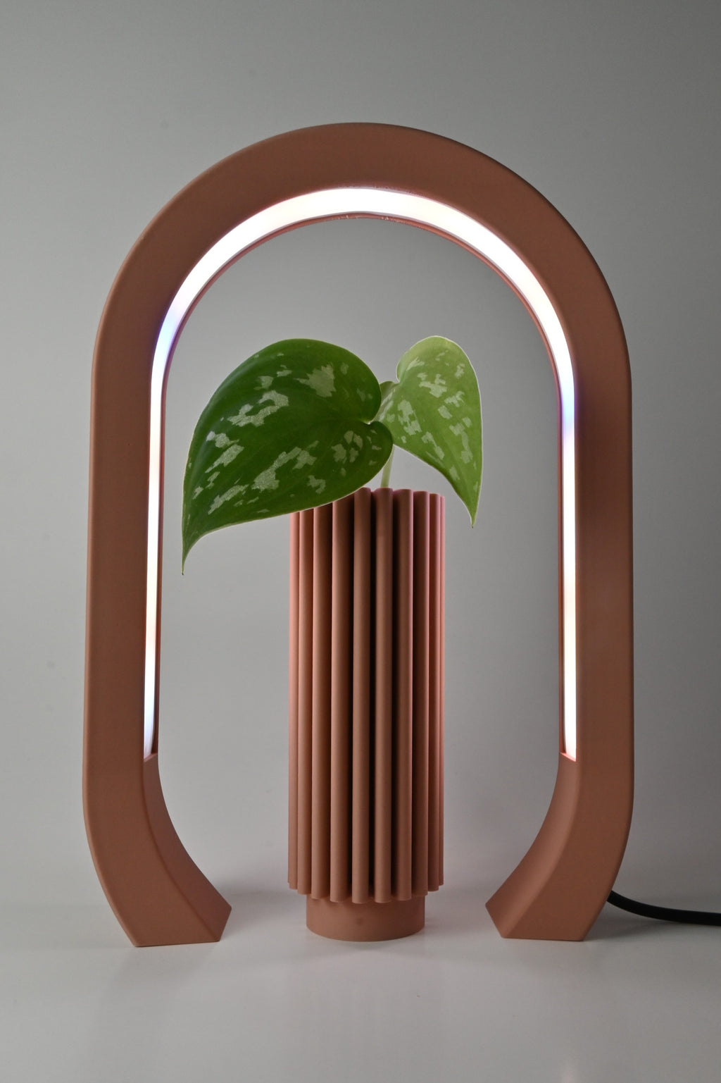 Dusty Rose Grow Light Sculpture Home Decor 
