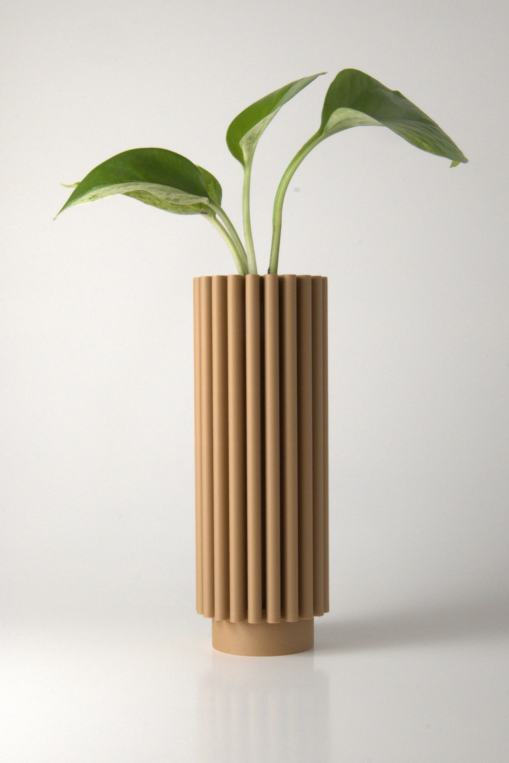 Propagation Vase Natural Oak